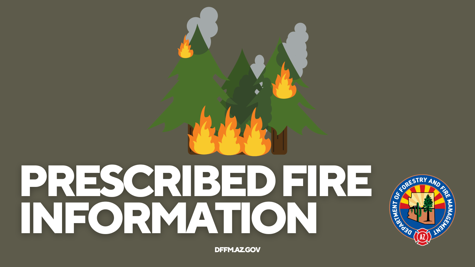 Arizona Forestry Conducting Pile Burn Operation at Dead Horse Ranch State Park 