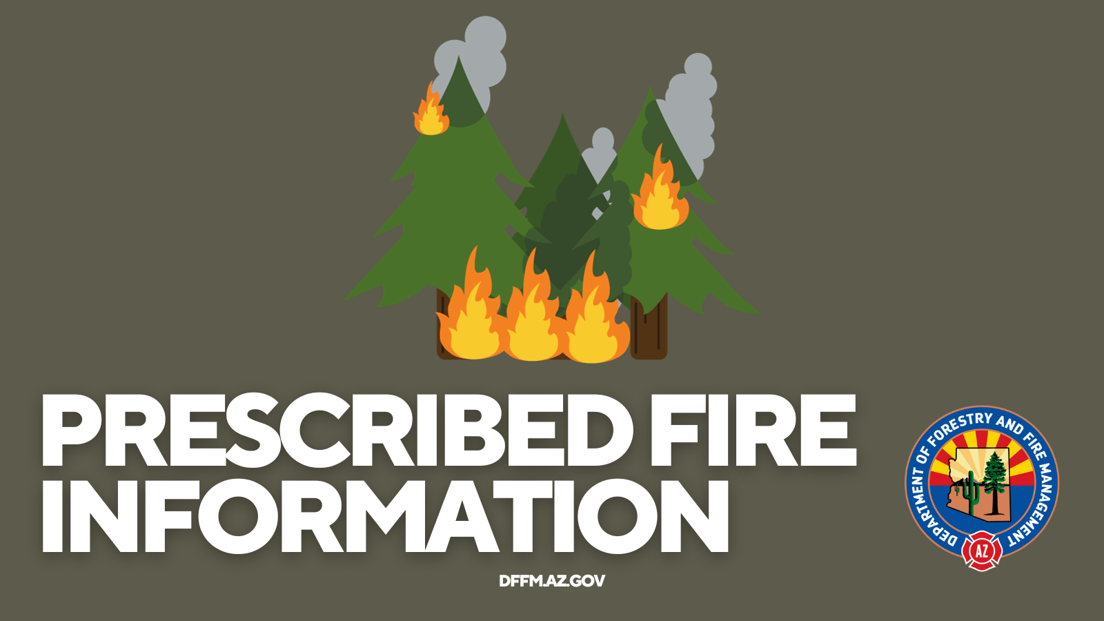 Pile Burn Project at Picacho Peak State Park Thursday 