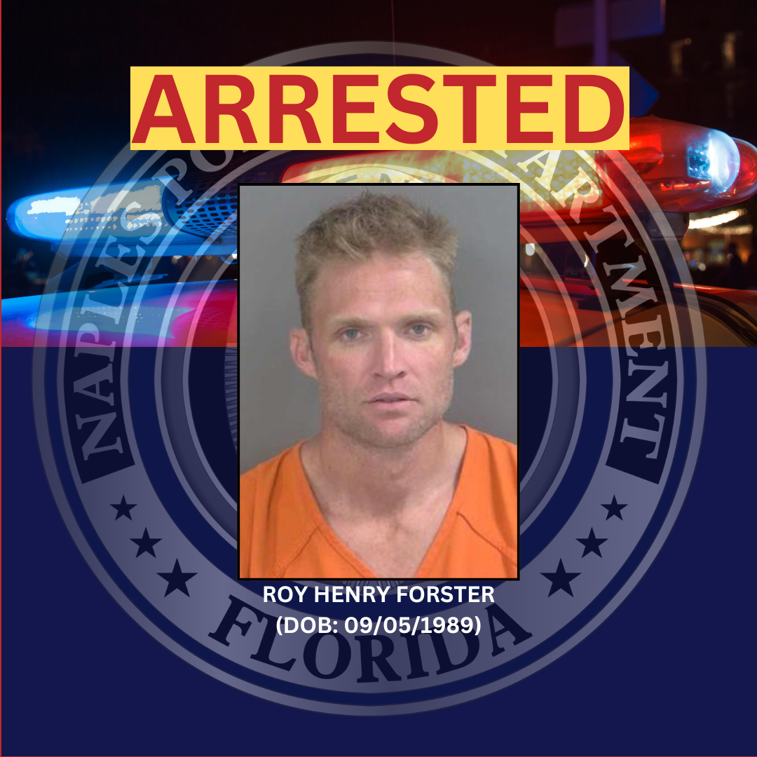 DOMESTIC DISTURBANCE LEADS TO SWIFT ARREST