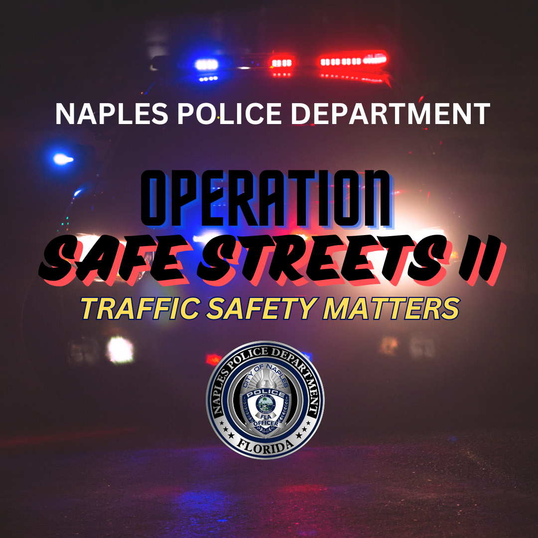 OPERATION SAFE STREETS II