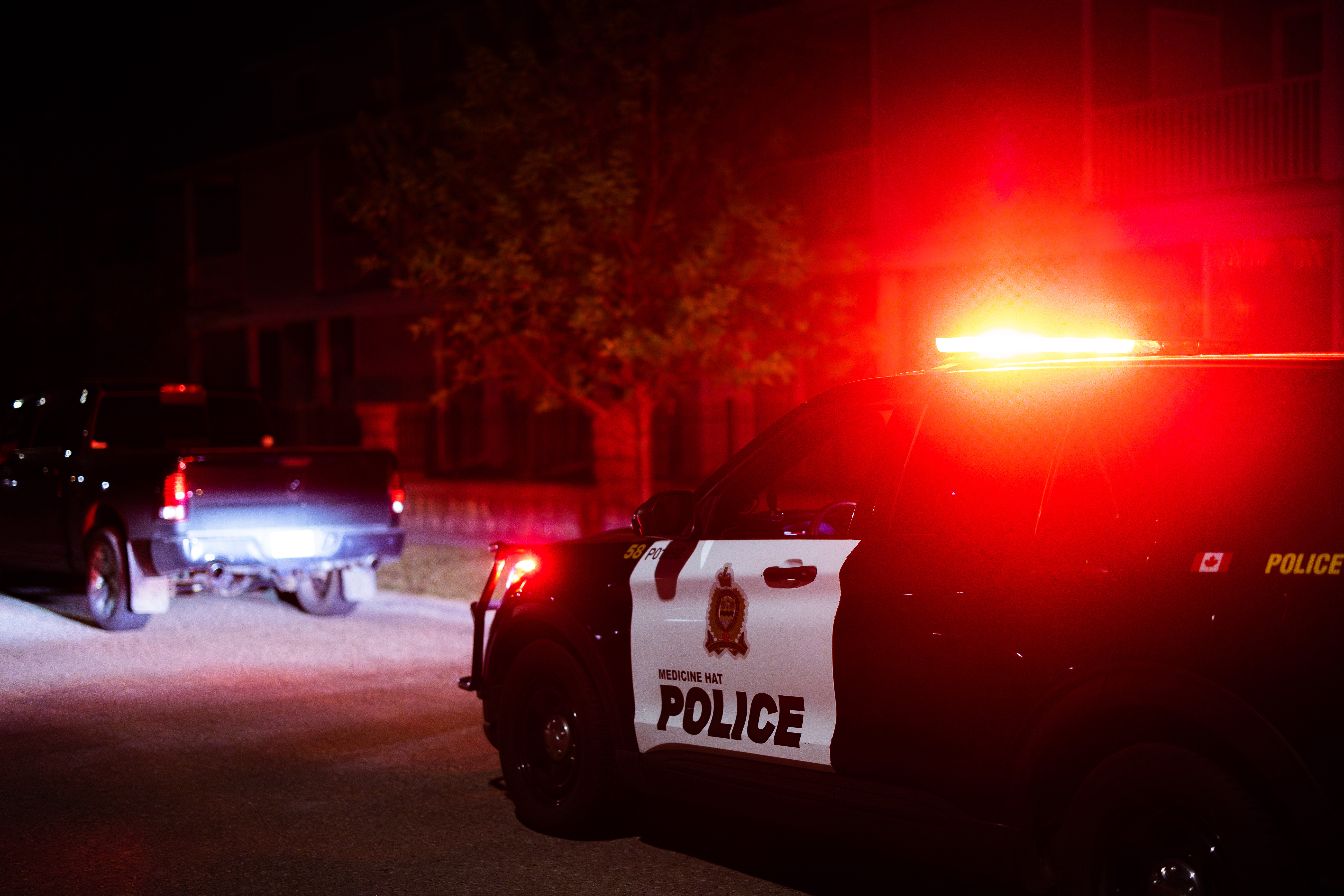 Holiday Check Stop Campaign