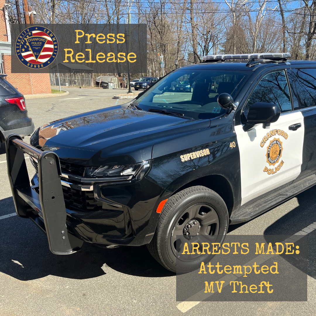 2 Charged with February Attempted Theft of a Motor Vehicle
